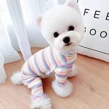 라라의스토어 강아지옷 줄무늬 티셔츠 올인원, 레인보우(올인원)