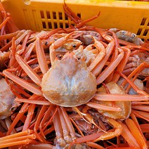 포항 산지직송 다원수산 육수용 실속형 고급형 연지 홍게 3kg, 연지홍게 3kg 고급형, 1개