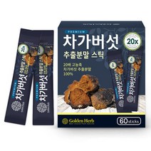 프리미엄 차가버섯 추출 분말 가루 차 60스틱 1박스