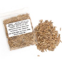 캣간식 100% 국내산 귀리씨앗 파우치간식 고양이캔 급여가편한 맛있는 스낵간식 반려묘간식 길고양이간식