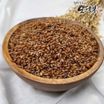 힘찬농부오달봉 2022년산 햇곡 국산 홍미 적미 붉은쌀 진도홍미, 1포, 500g