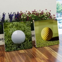 기타 바보사랑[꾸밈]폼아크릴액자18CmX18CmX2ea_골프공