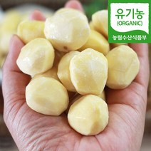 (자연마을) 공주 정안 유기농 깐밤 생율 산지직송 250g, 250g 1팩