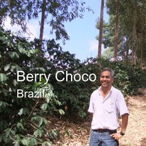 위트러스트 [위트러스트] 브라질 베리초코 500g Brazil Berry Choco 스페셜티 커피, 홀빈