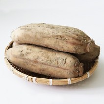 후니팜 햇연근 국산 흙연근 특품 하품 1kg 3kg 5kg 10kg, 특품1kg, 1개
