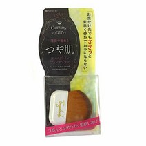 SHO-BI (쇼비) 윤기 피부 컴팩트 인 팬 데브러시 SPV71302 1개 (x 1) SHO-BI(ショービ) つや肌 コンパクトイン ファンデブラシ SPV71302 1個 (x 1)