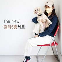 [A3] 2022 컬러5종세트 대형 특대형 얼큰이마스크 100매, 3D입체5종/대형/100매