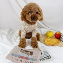 베들링턴테리어 빠삐용강아지 삽살개 파티푸들 털안빠지는강아지 소형견종류애 잉글리쉬불독 포메라니안 베들링턴테리어 강아지 옷 블랙라벨 할미내복, 핑크