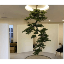 인조소나무 인테리어 식물 조화 실내 소나무 0.6m, 0.6m + 패키지