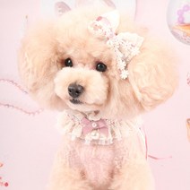 팝앤퍼피 셔링레이스케이프, M, 핑크