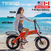 TESGO STT-S 접이식 전기 자전거 48V 750W 15AH 리튬 지방 Ebike 20 인치 성인 Shimano 8 속도, 02 Green, 01 250W Motor