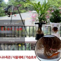 SPRa_미니가습기 수경재배 수족관화분 휴대용 국산 사무실 책상 USB usbrst231, SPRa_DAMDDA 에코리움 화이트