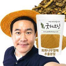 회화나무열매 추출물 추출 분말 가루 차 250g 굿허브닝, 1개, 250g x 2팩