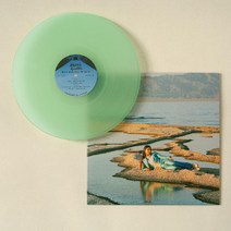 Mexican Summer 와이즈 블러드 Front Row Seat To Earth 컬러 LP, 1