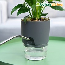 로하스리빙 매번 물주는 번거름없는 자동급수 인테리어화분 (WTP-03), 화이트