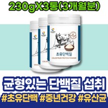 남녀 남자친구 몸짱 성장기 4학년 로이신 여성 유아키 고3 크리스마스선물 운동후프로틴 헬스단백질 MBP 청소년 멸치 프로틴단백질 얼굴살 어른분유 머슬 상체살 IgA 포우먼 프로틴