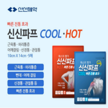 신신제약 신신파프 쿨 파스, 5개입, 3개