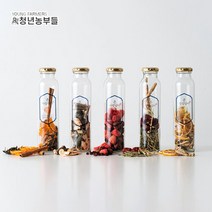 청년농부들 담금주키트 온마음담아 5종 선물세트 300ml x5 유리병, 단품