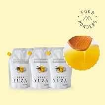 몬더스 담은유자 500g 3팩, 단품, 단품