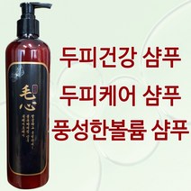 한국메디엔 두피트러블 두피관리 약산성샴푸 지루성두피 비타민 샴푸, 1개