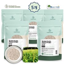 차전자피 식이섬유 가루 분말 섬유질 똥차 효능 변비 숙변 쾌변, 5팩, 500g