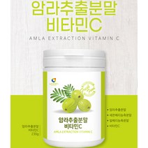 뉴트로웨이 인디안 구스베리 프리미엄 암라 가루 분말 천연 비타민C 추출물 추출분말 블랙베리 라즈베리 블랙커런트 먹는 암라가루 암라분말 쉐이크 탄산수 요거트 맛있는 온가족 건강분말 40대 50대 60대 중년