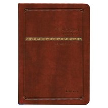 큰글씨 성경전서(NKR73THU브라운)(새찬송가)(무지퍼)(개역개정), 대한기독교서회