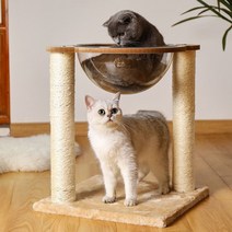 고양이 스페이스돔 투명해먹 스크래쳐 캣타워, 유나하이 1, 유나하이 본상품선택