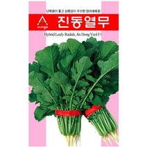 진동 열무 씨앗 30g 단묶음 상품성 좋음 영리 재배용 종자 텃밭 채소 김치 김장 농사