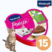 비타크래프트 고양이 포에시 하트캔 치킨 캣그라스 1박스(15개입)