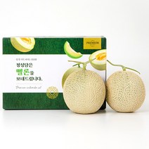 프리미엄 고당도 머스크메론 2수 과일선물세트 (총 4kg/1수 2kg)