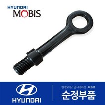 토윙 후크(견인고리) (09147S1000) 올뉴 싼타페 더뉴 싼타페 싼타페 하이브리드