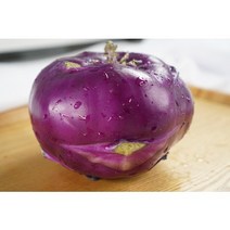 제주 탐라인 탐라농부 신선 콜라비 3kg 5kg