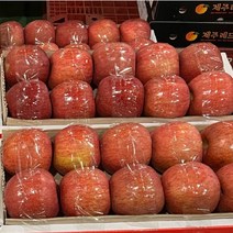 농수산물 꿀사과 부사 가정용 흠과 안동 충주 사과 5kg 중과 대과, 정품 5kg 10-12과, 1개