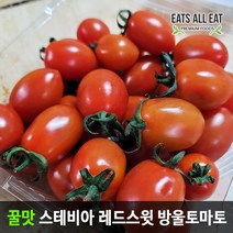 이츠올릿 프리미엄 스테비아 설탕 레드 스윗 방울 대추 토마토 산지직송 단 토망고, 블랙스윗(500gx1팩), 1개