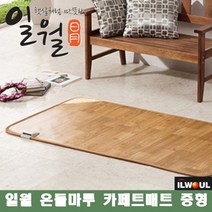 일월 점보 홈쇼핑 온열 온돌 마루 매트 카페트 바닥 전자파 없는 차단 나노륨 모노륨 온매트, 소형