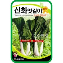 신화 엇갈이 10g / 얼갈이 배추 김장 가을 여름 종자 cabbage seed