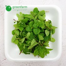 애플민트 1팩(약10g)