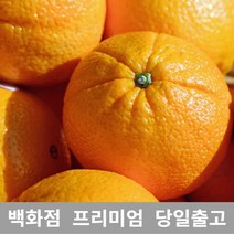 [특등급선별] 오렌지 15kg 블랙라벨오렌지 열대과일 고급과일 오렌지블랙라벨 오렌지가격 캘리포니아오렌지 블러드오렌지 오렌지씨 카라카라오렌지 네이블오렌지 썬키스트오렌지 블랙오렌지