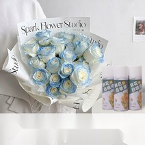생화 스프레이 꽃 특수 염료 착색제 플라워 컬러 스프레이, 다크나이트 450ml 전용컬러 친환경 포뮬러