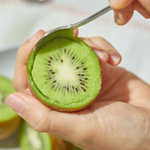 전남보성 국산 그린 키위 참다래 주스용 산지배송 2KG, 2kg/대/20~22개(10005140)