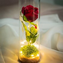 [덩크리] 미녀와 야수 무드등 유리돔 만들기 장미 꽃꽃이 감성 소품 커플 기념일 선물 조화 이색 LED플라워 이쁜 공예 DIY 키트
