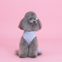 자체제작 강아지옷 랄라 스윗 올인원, 색상:블루|사이즈:XL