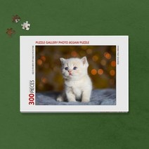 300피스 반려동물 사진 직소퍼즐 제작 (액자포함), 본상품선택, 09. 우드블루, 본상품선택