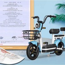어르신전동차 삼륜 노인 바이크 전동 스쿠터 관부가세포함, H