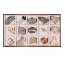 화석표본2 (15종세트) HS-1003 15종화석표본세트