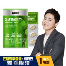 GNM자연의품격 징코 빌로바11, 30정, 1개