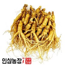 더굿진생 금산 인삼 수삼 햇 정품원수삼 350g, 1개, (세척안함)[1+1]못난이350g(18뿌리내외)x2개