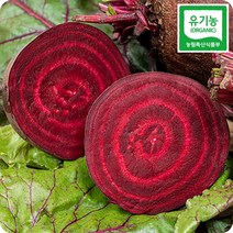 초록미소 친환경 해남 유기농 레드비트 2kg 3kg 5kg 10kg, 5kg x 약 9~14개 내외, 1개