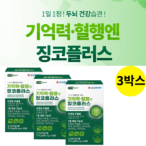 난황레시틴 혈류개선제 gingko 뇌기능영양제
